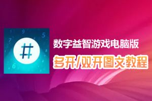 数字益智游戏怎么双开、多开？数字益智游戏双开、多开管理器使用图文教程