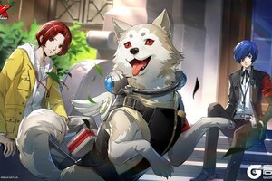 「《女神异闻录：夜幕魅影》4.8.2版本壁纸分享」｜P5X