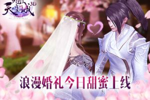 双宿双飞《九州天空城3D》浪漫婚礼今日甜蜜上线