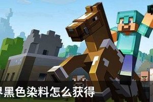 我的世界黑色染料怎么获得