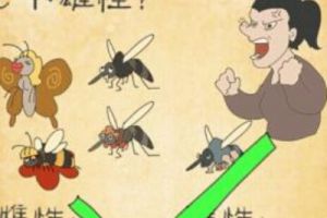 最囧游戏3第27关怎么过？最囧游戏3第27关攻略