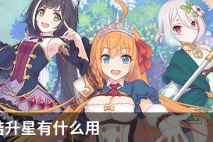 公主连结升星有什么用