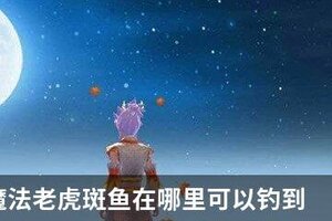 创造与魔法老虎斑鱼在哪里可以钓到