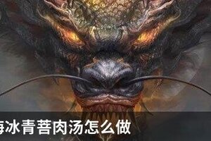 妄想山海冰青菩肉汤怎么做