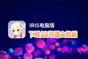 IRIS电脑版_电脑玩IRIS模拟器下载、安装攻略教程