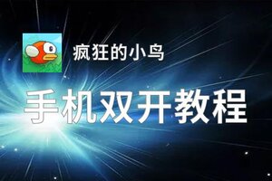 疯狂的小鸟双开挂机软件盘点 2020最新免费疯狂的小鸟双开挂机神器推荐