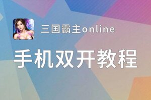 三国霸主online双开挂机软件盘点 2021最新免费三国霸主online双开挂机神器推荐