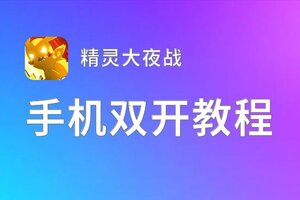怎么双开精灵大夜战？ 精灵大夜战双开挂机图文全攻略