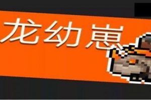 元气骑士飞龙幼崽怎么打 元气骑士飞龙幼崽打法攻略