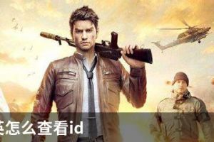 和平精英怎么查看id