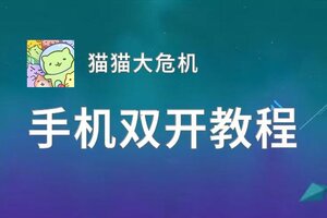 有没有猫猫大危机双开软件推荐 深度解答如何双开猫猫大危机