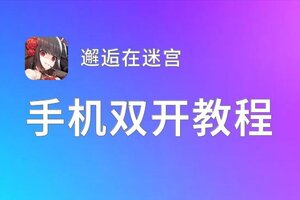 邂逅在迷宫如何双开 2021最新双开神器来袭