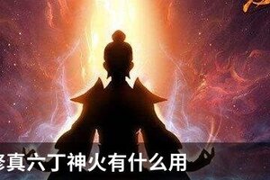 想不想修真六丁神火有什么用
