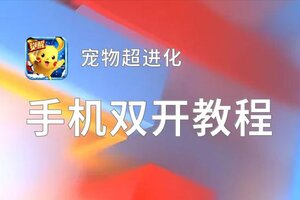 宠物超进化如何双开 2021最新双开神器来袭