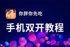 你胖你先吃如何双开 2021最新双开神器来袭