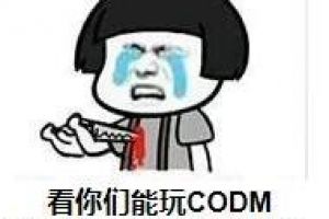 使命召唤手游国内限号开测，海外网友大赞画面和还原度