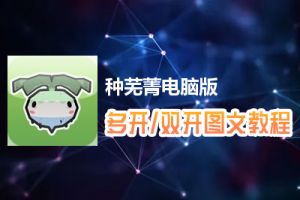 种芜菁怎么双开、多开？种芜菁双开、多开管理器使用图文教程