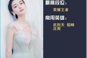 你心中的王者明星玩家是谁？