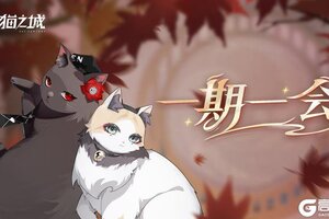《猫之城》版本预告 | 相闻歌