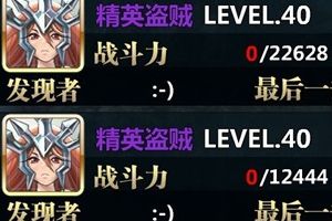 贼王的炼成攻略