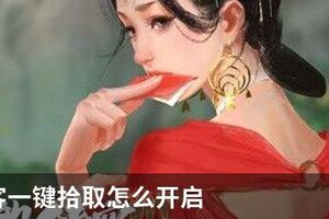 我的侠客一键拾取怎么开启