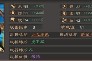 《三国乱世霸王》武将攻略：典韦技能&搭配详解