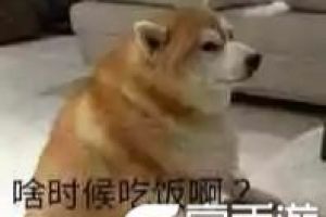 王者荣耀年兽入侵 那个神秘生物来了 搅乱峡谷的竟是它？！
