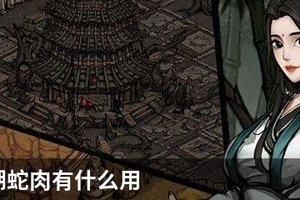 烟雨江湖蛇肉有什么用