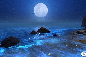 《一梦江湖》泠音蓝荧海奇景上线 伽蓝逸闻开启