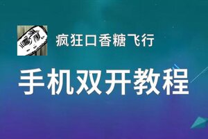 有没有疯狂口香糖飞行双开软件推荐 深度解答如何双开疯狂口香糖飞行