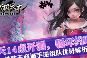 武极天下组队优势解析  14点开测，骚年约吗？