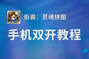 有没有街霸：灵魂拼图双开软件推荐 深度解答如何双开街霸：灵魂拼图