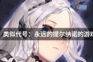 类似代号：永远的提尔纳诺的游戏