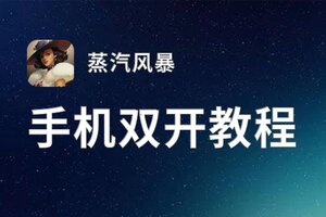 蒸汽风暴挂机软件&双开软件推荐  轻松搞定蒸汽风暴双开和挂机