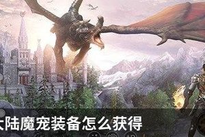 新神魔大陆宠物怎么获得