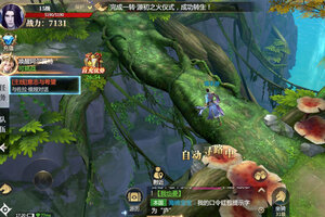 《神火大陆》特权大礼包低调来袭 官方最新版下载开启