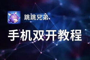 跳跳兄弟双开挂机软件推荐  怎么双开跳跳兄弟详细图文教程