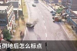 和平精英倒地后怎么标点