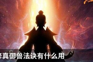 想不想修真御兽法诀有什么用