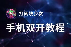 打砖块少女双开挂机软件盘点 2020最新免费打砖块少女双开挂机神器推荐