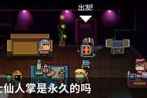元气骑士仙人掌是永久的吗