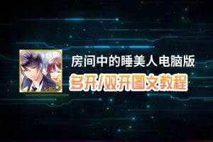 房间中的睡美人怎么双开、多开？房间中的睡美人双开助手工具下载安装教程