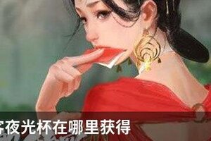 我的侠客夜光杯在哪里获得