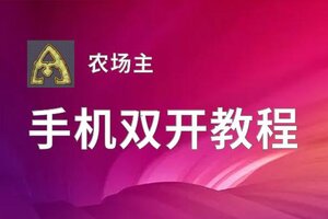 农场主双开神器 轻松一键搞定农场主挂机双开