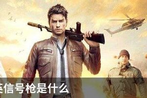 和平精英信号枪是什么