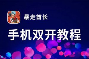 暴走酋长如何双开 2021最新双开神器来袭