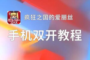 疯狂之国的爱丽丝如何双开 2020最新双开神器来袭