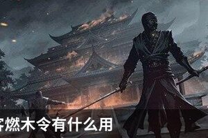 我的侠客燃木令有什么用