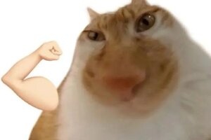 《古代战争》【新区公告】天启-荣耀圣庭（安卓IOS混服）来袭！