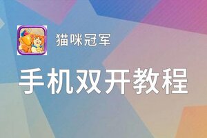 有没有猫咪冠军双开软件推荐 深度解答如何双开猫咪冠军